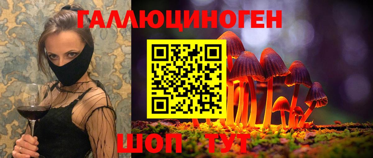 Галлюциногенные грибы Psilocybe Нарткала