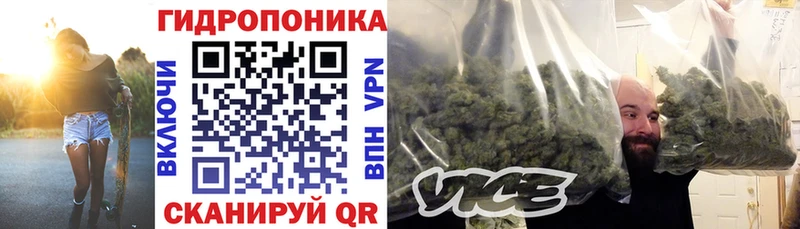 Шишки марихуана гибрид  купить   Нарткала 